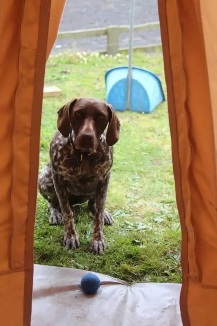 Hoot @ Woody's Luxury Glamping