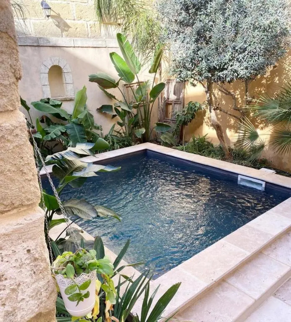 La Maison du Trident en Camargue Piscine et Jacuzzi