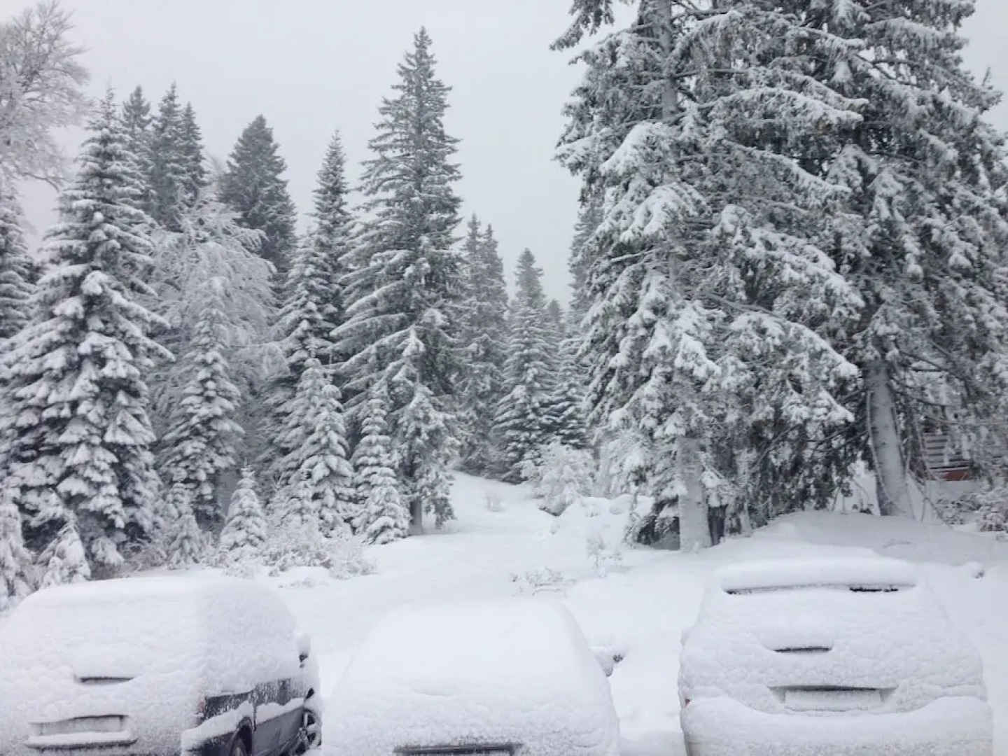 Apartments Villa Deja