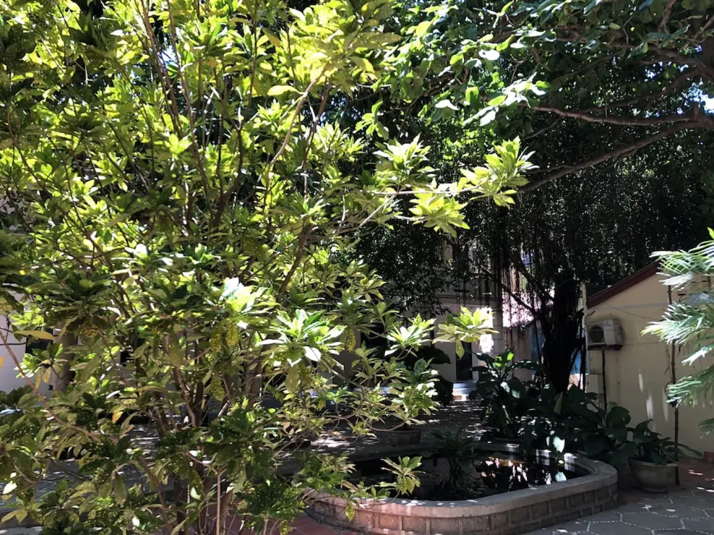 Sea Flower Guest House