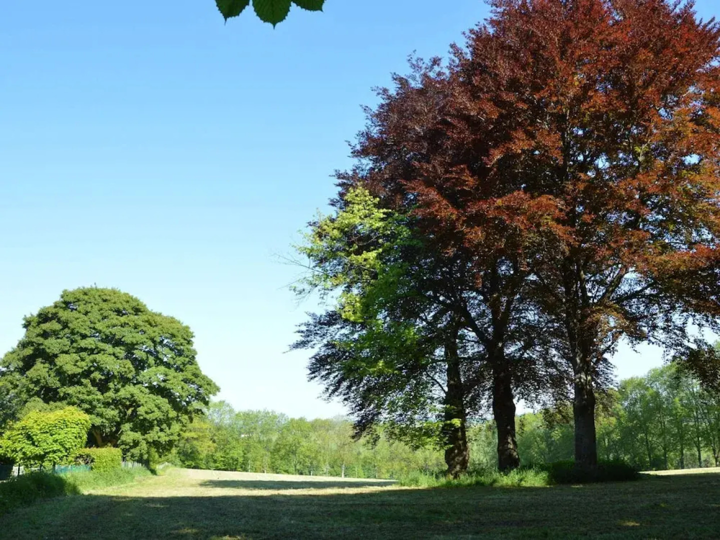 Peaceful Holiday Home With Garden in Fauvillers Belgium