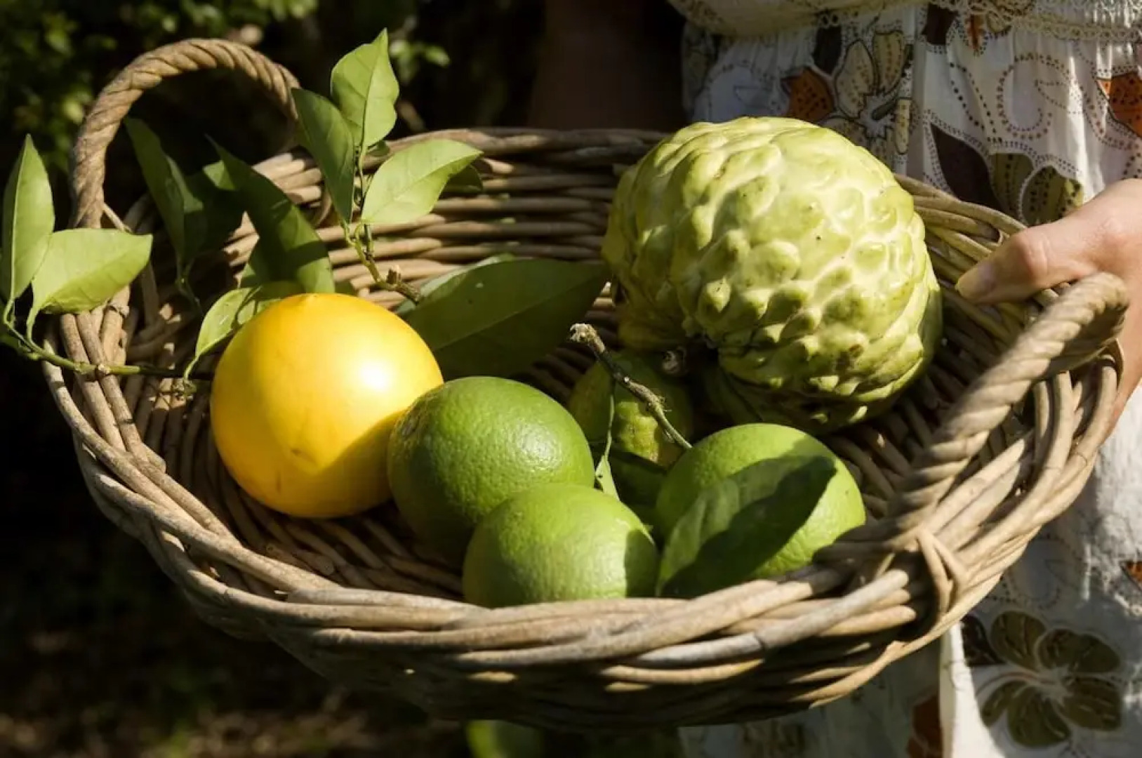 Glasshouse Mountains Ecolodge