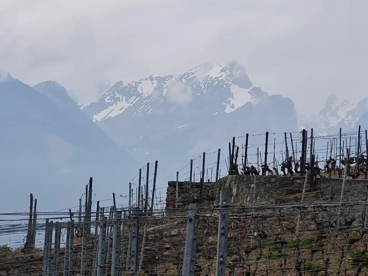 Panorama, Appartement 34, Torgon Schweiz