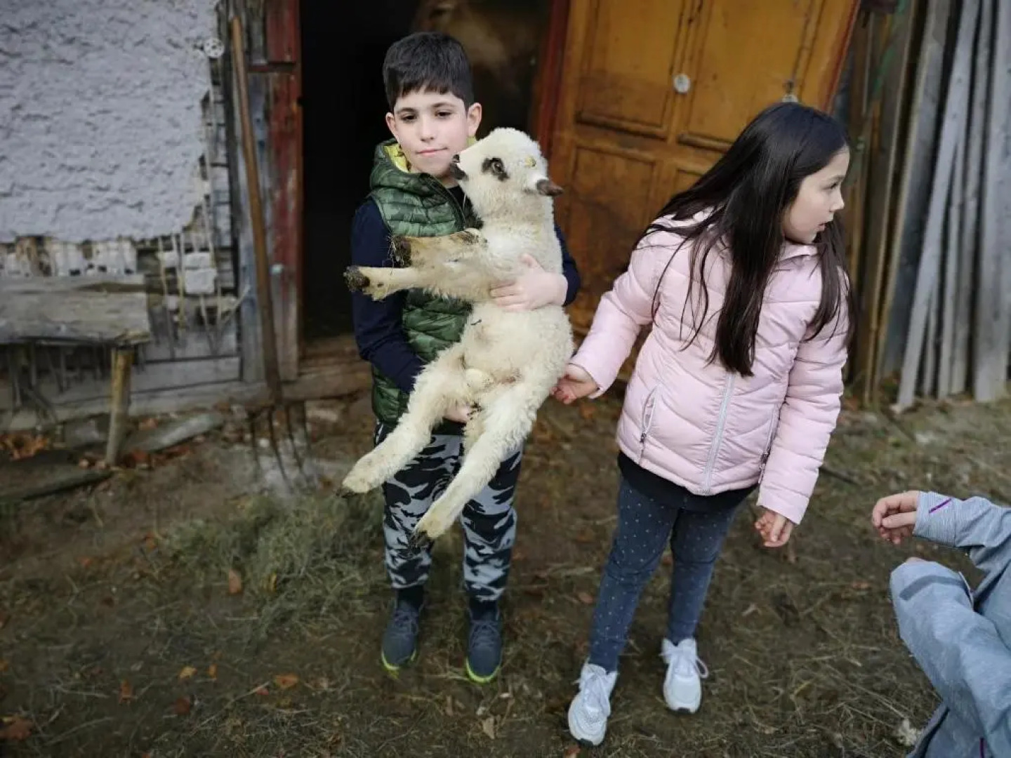 Pension Mama Cozonacilor