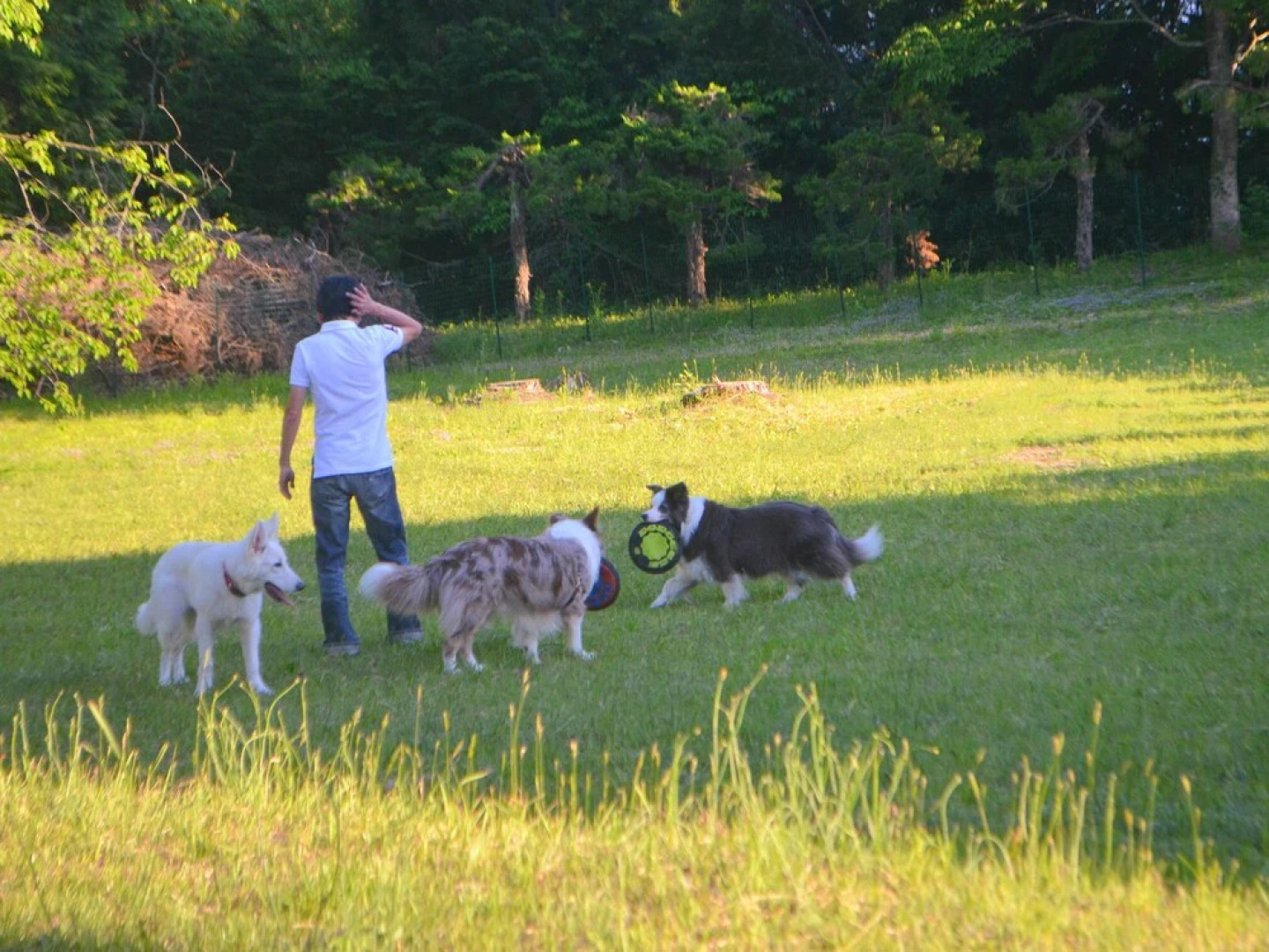 OKAYAMA HIRUZEN villas Peter Pan