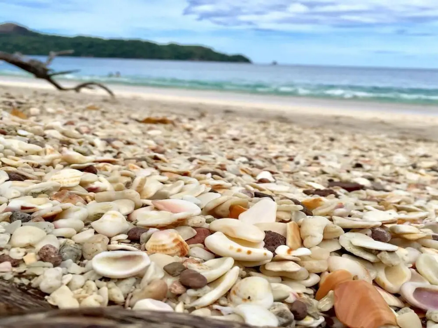 Charming unit that sleeps 4 - with pool - walking distance from Brasilito Beach