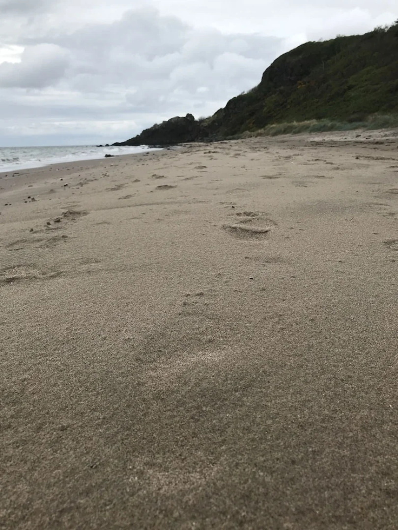 Abbotsford House Apartment