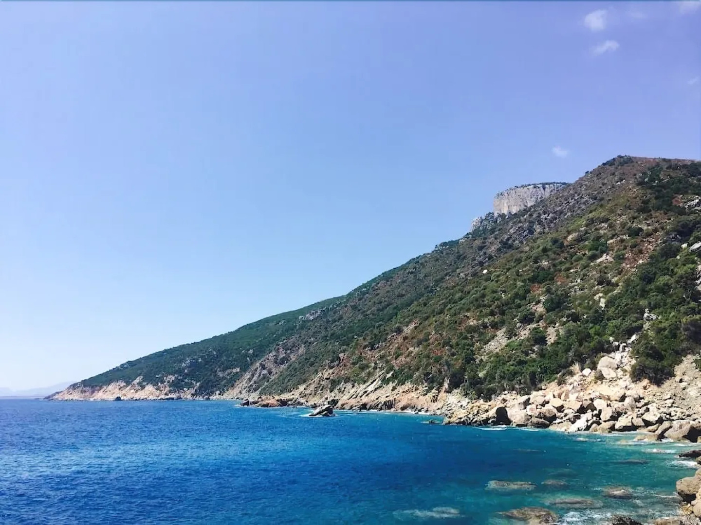 Lovely Garden Apartment