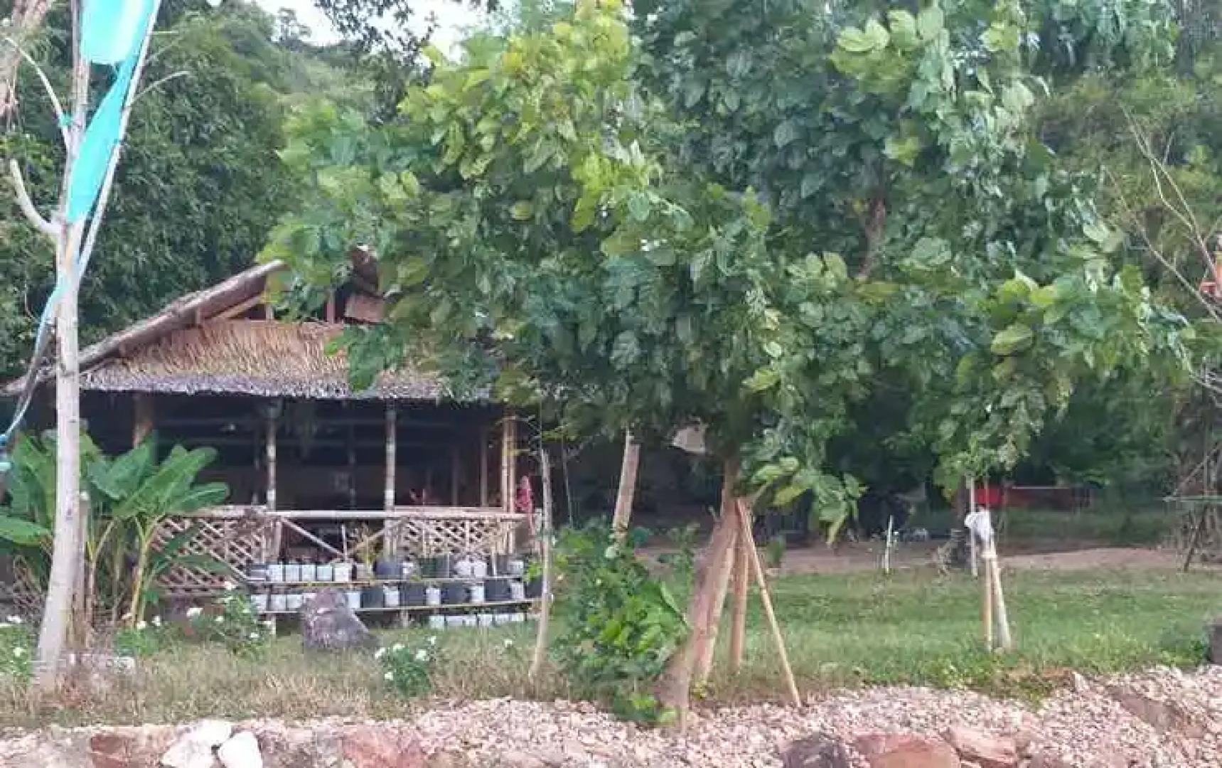 Bali Beach Resort Mindoro