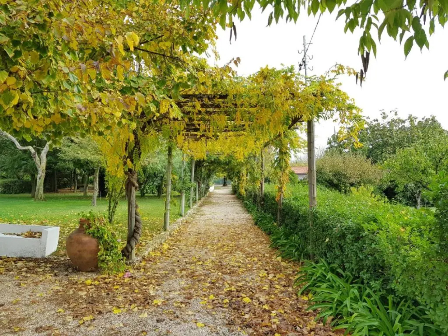 Casa da Avó Genoveva