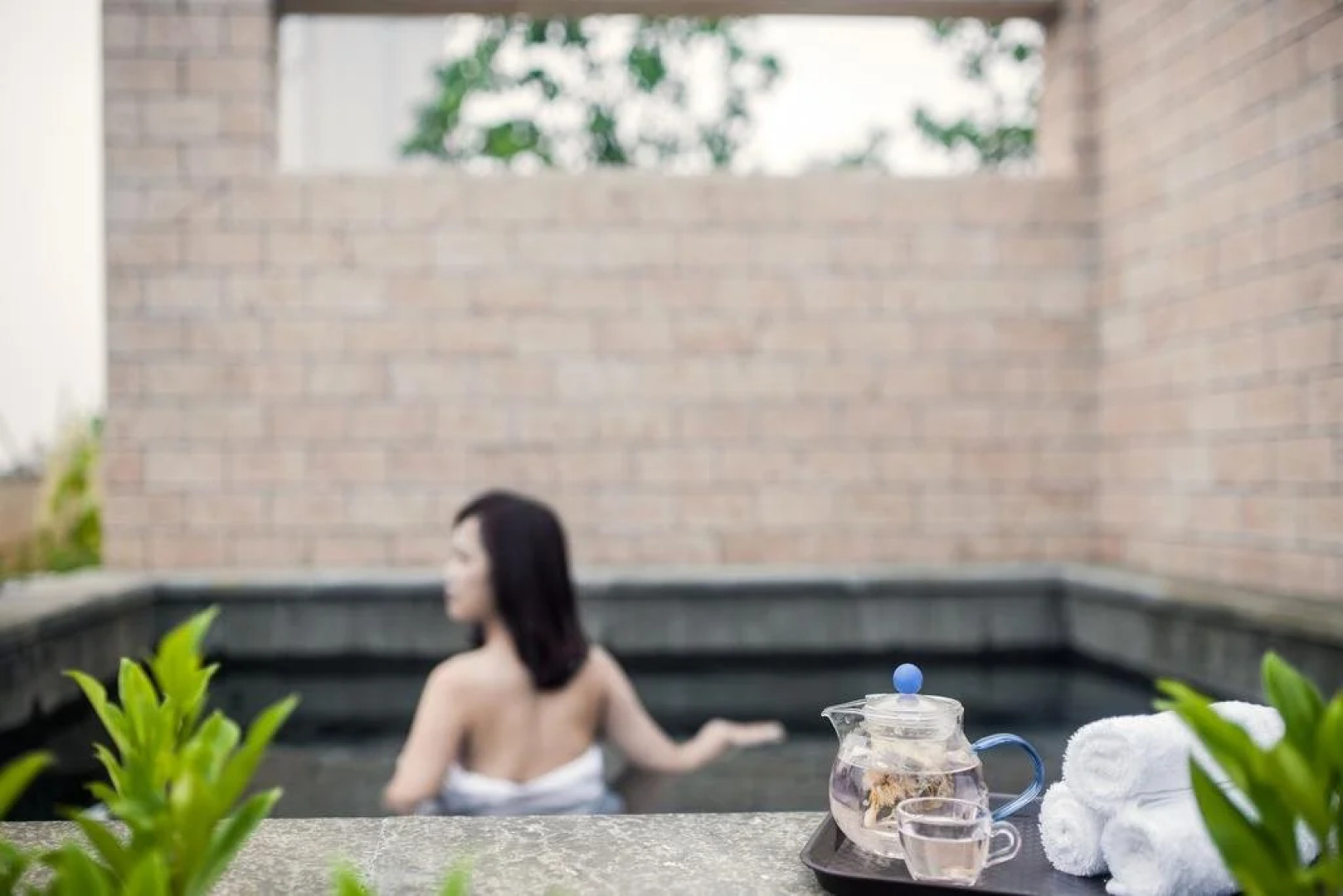 Venus Royal Hot Spring Hotel