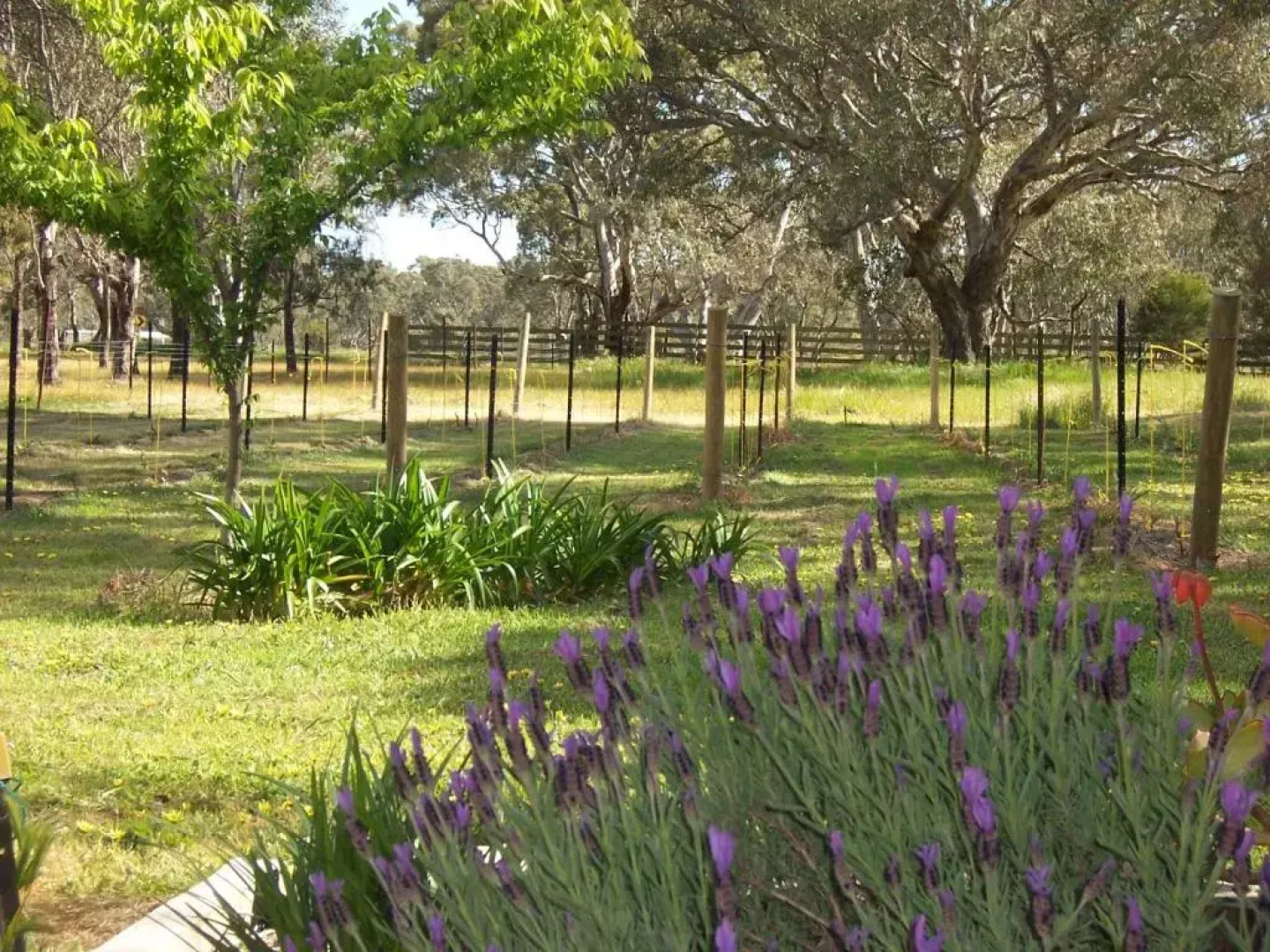 The Apartment - Moyston