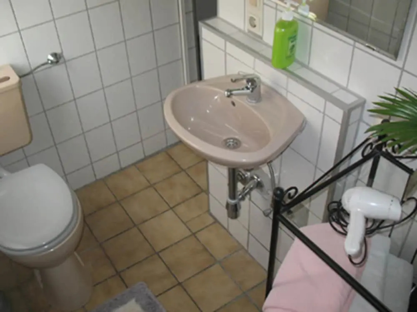 Haus am Cannstatter Wasen