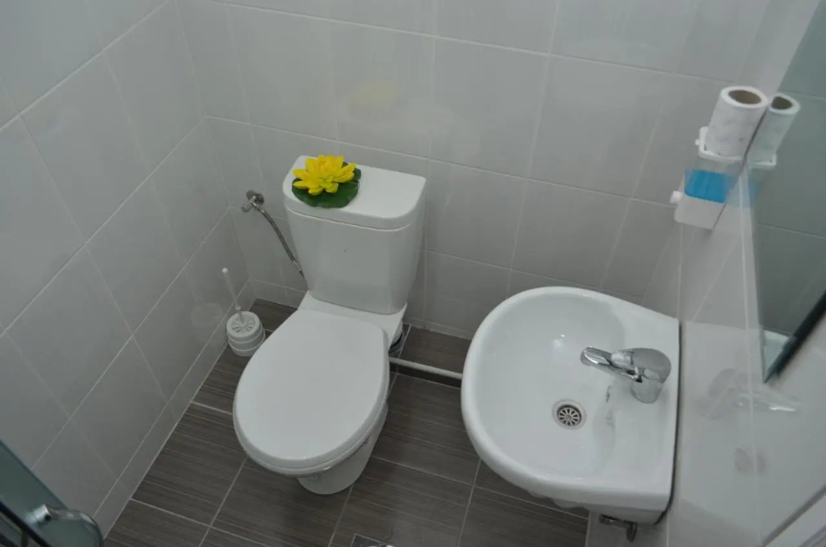 Guest House Konak Iris