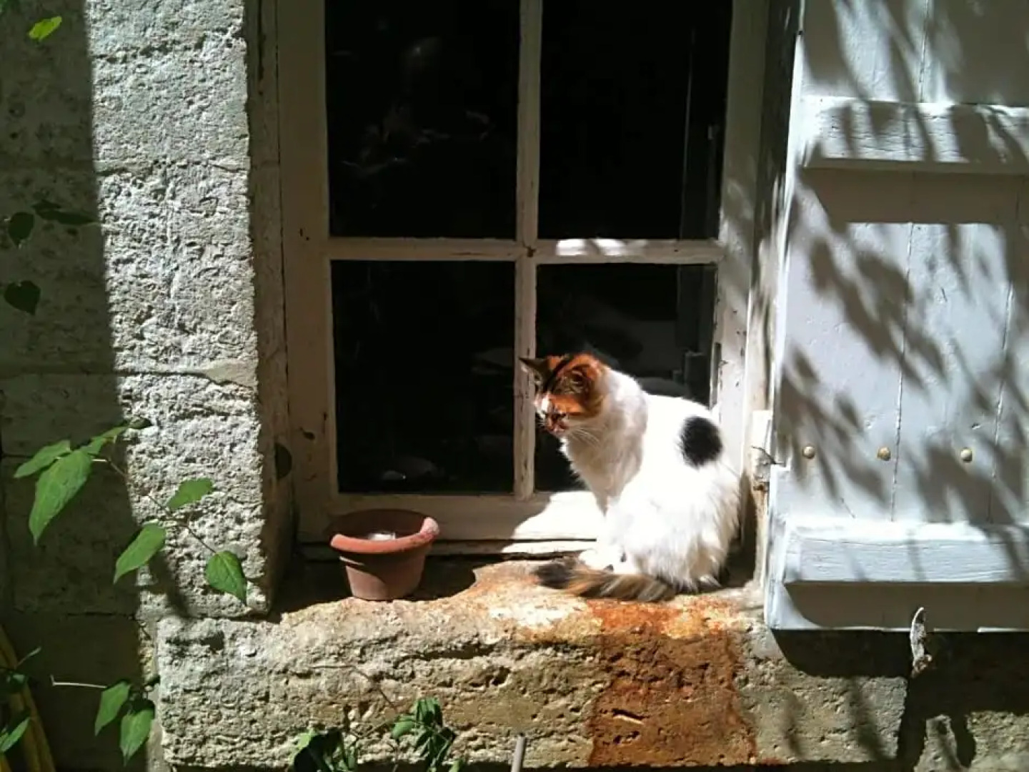 Chambres d'Hotes Hostellerie Le Donjon