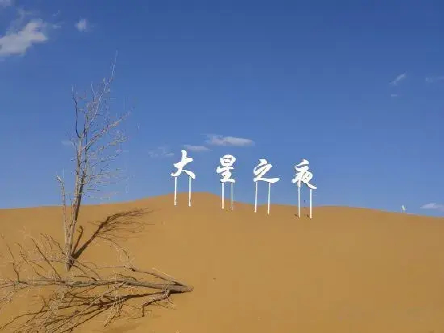 Zhongwei Daxing Night Desert Camp