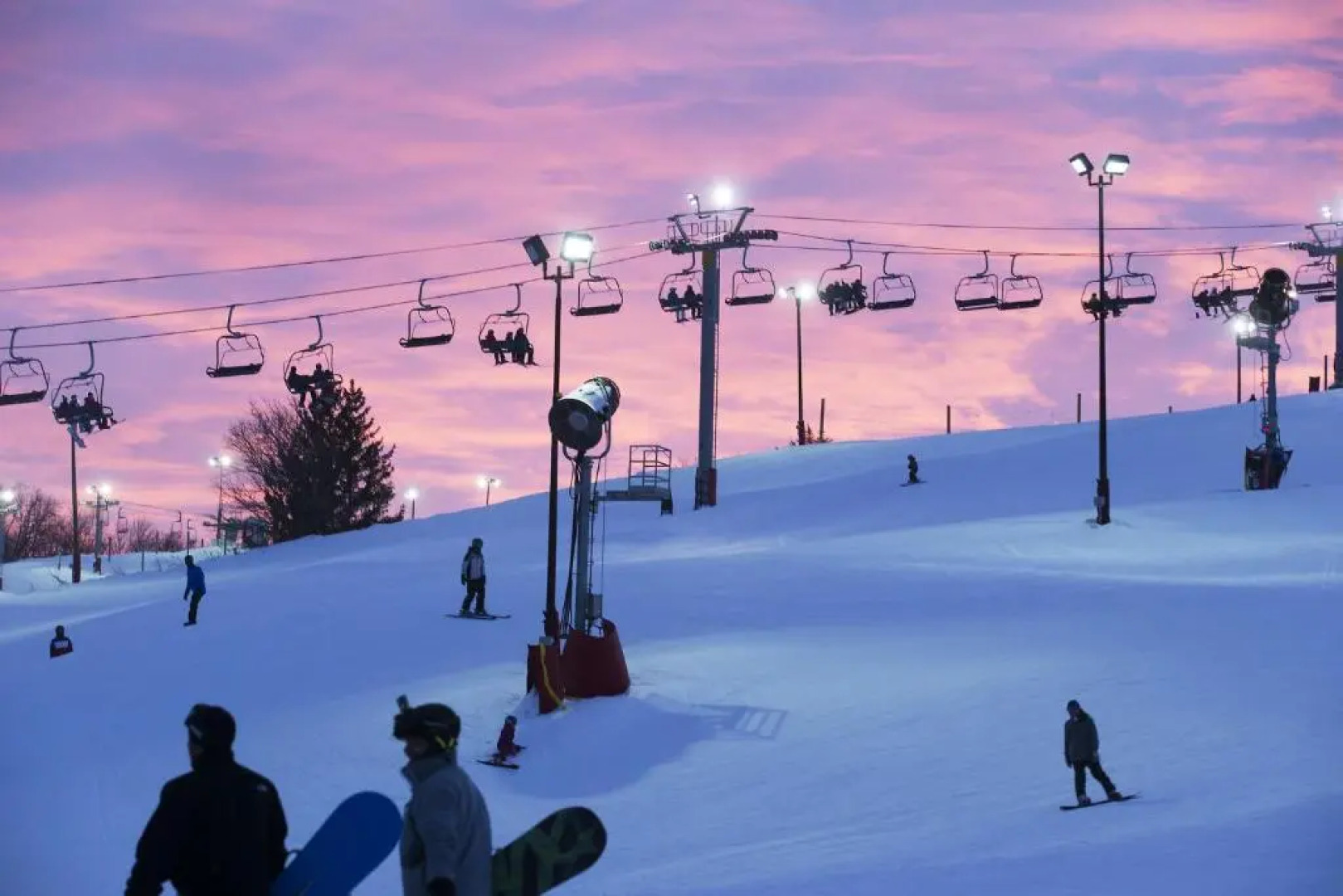 Gorgeous Downtown Bungalow, Walk Everywhere!!!