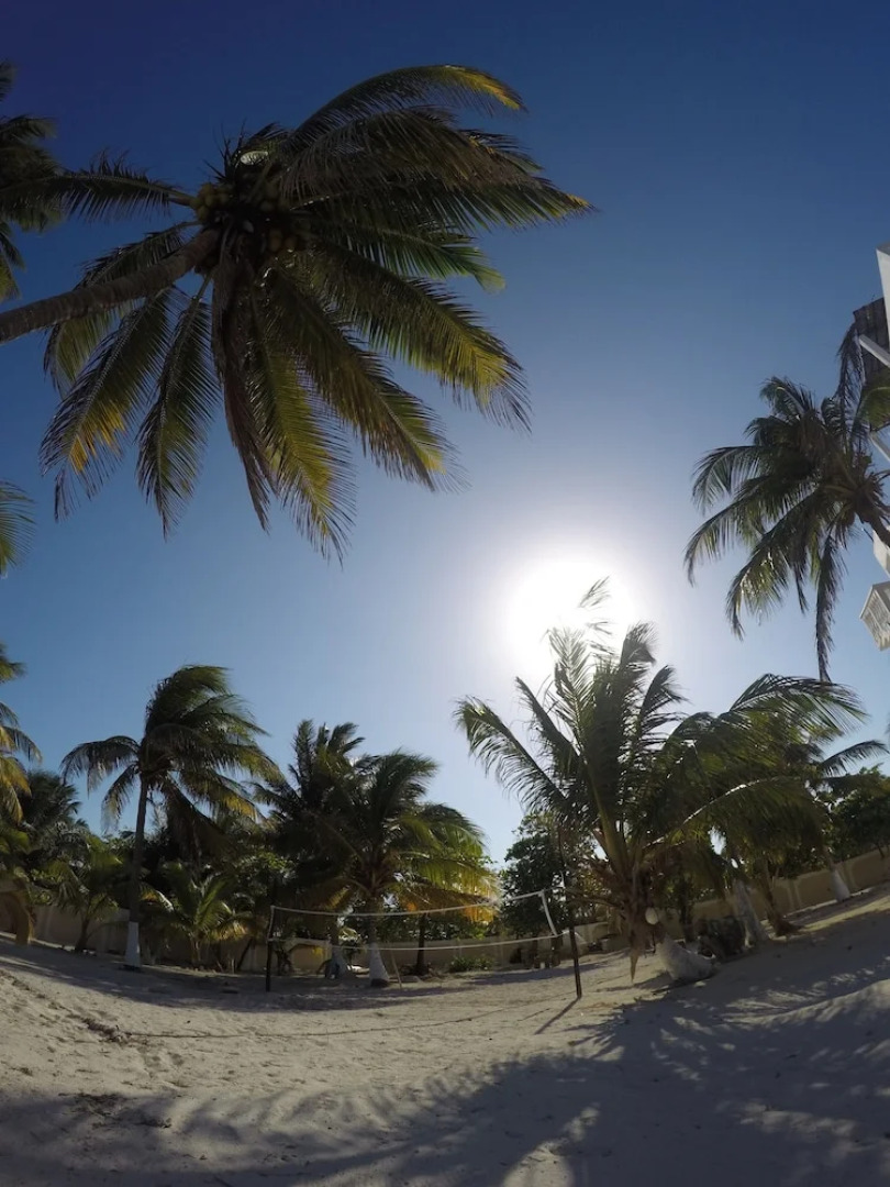 Caribbean Casa Blanca