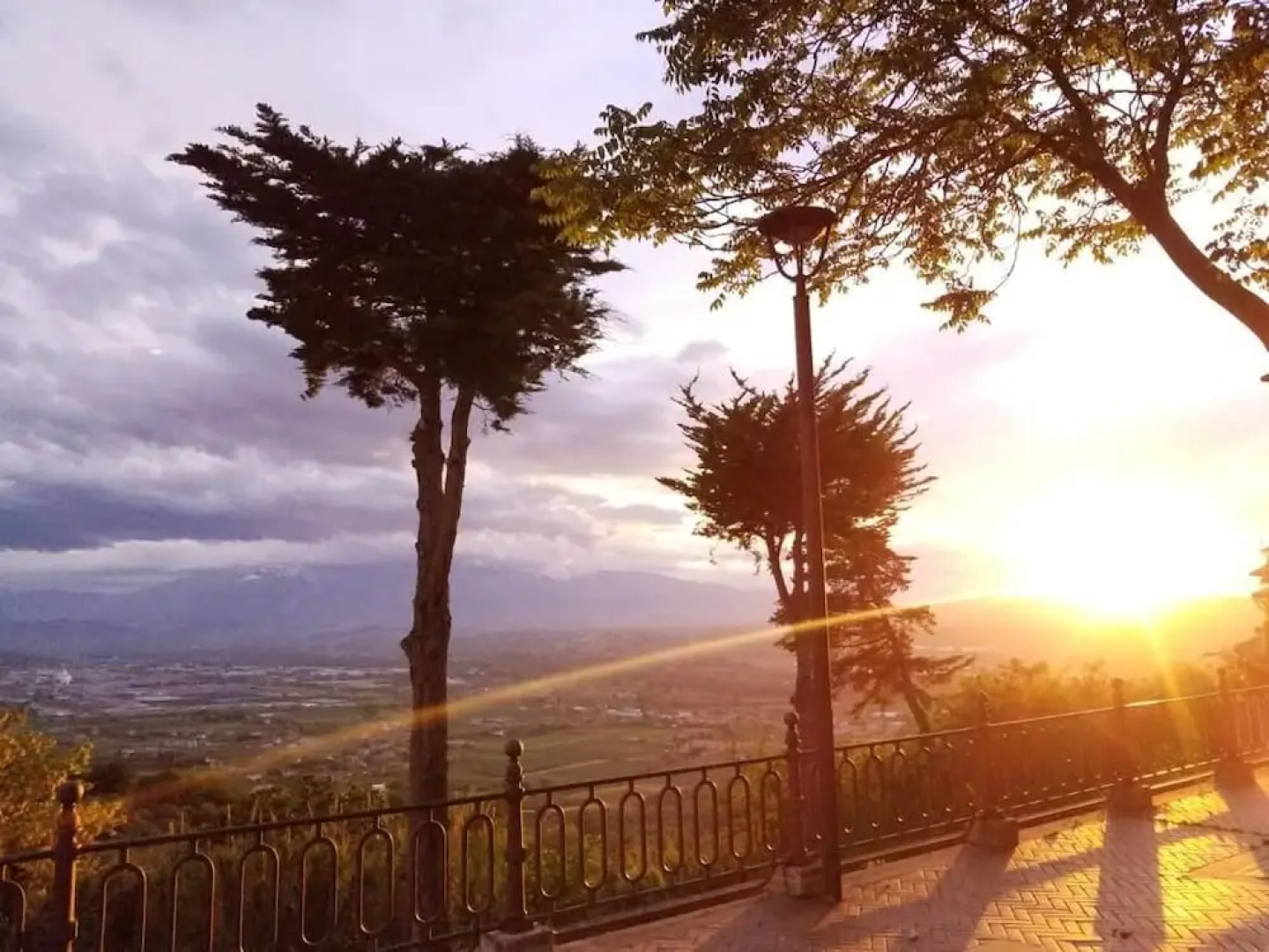 La Vigna di Ranco Ltd Num3353