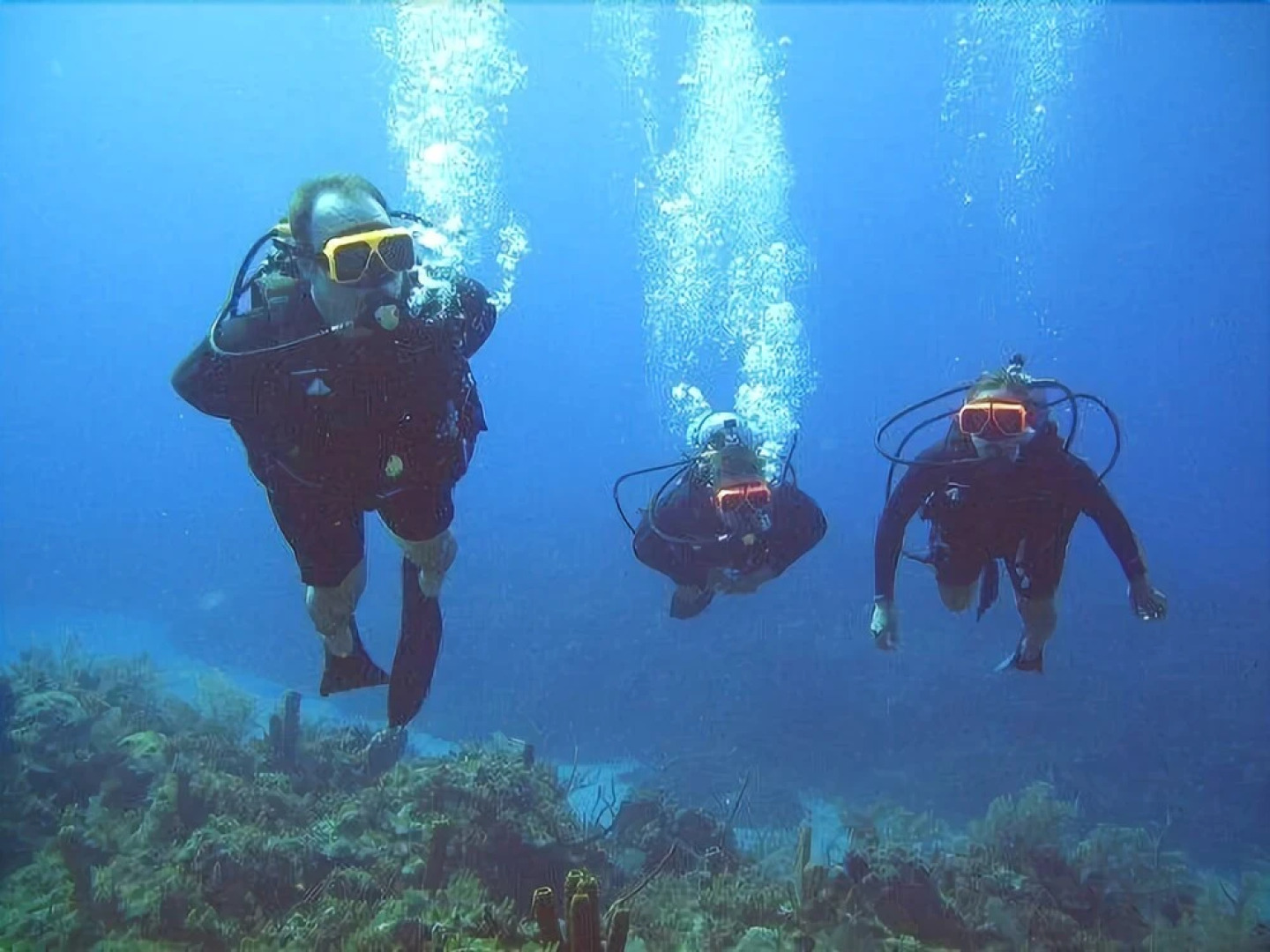 Greenoasis Guest House