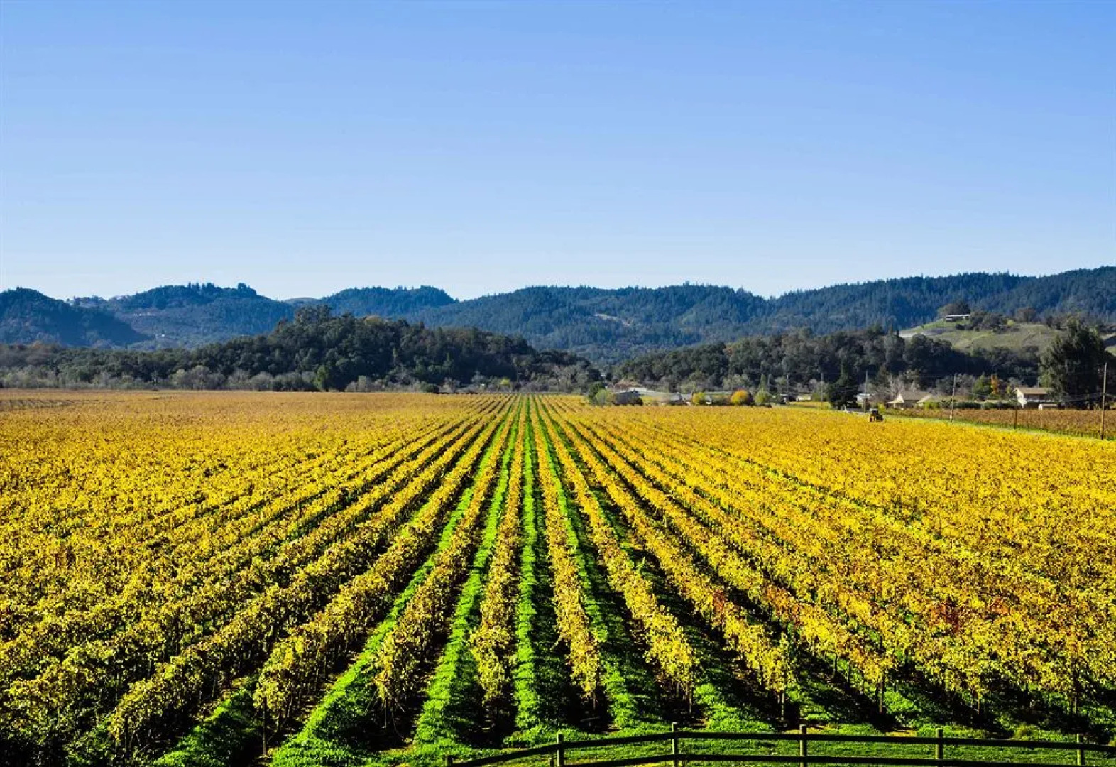 Auberge on the Vineyard