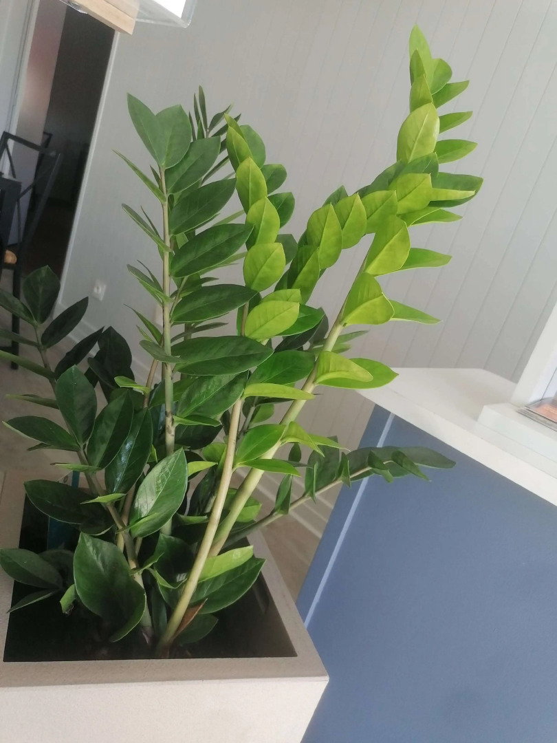 Kyriad Direct Saintes