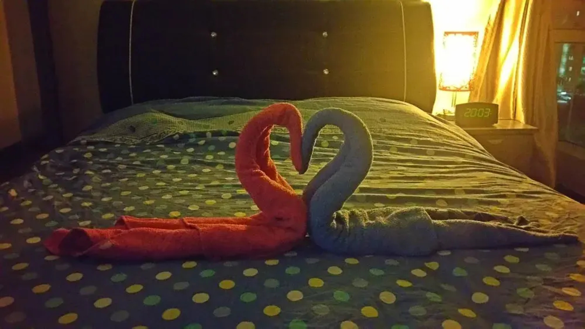 Homestay Signature Suite