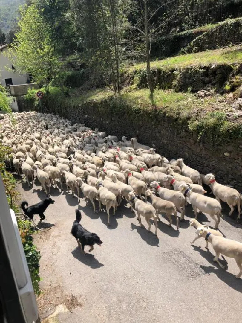 Le Moulin de Bouzigue