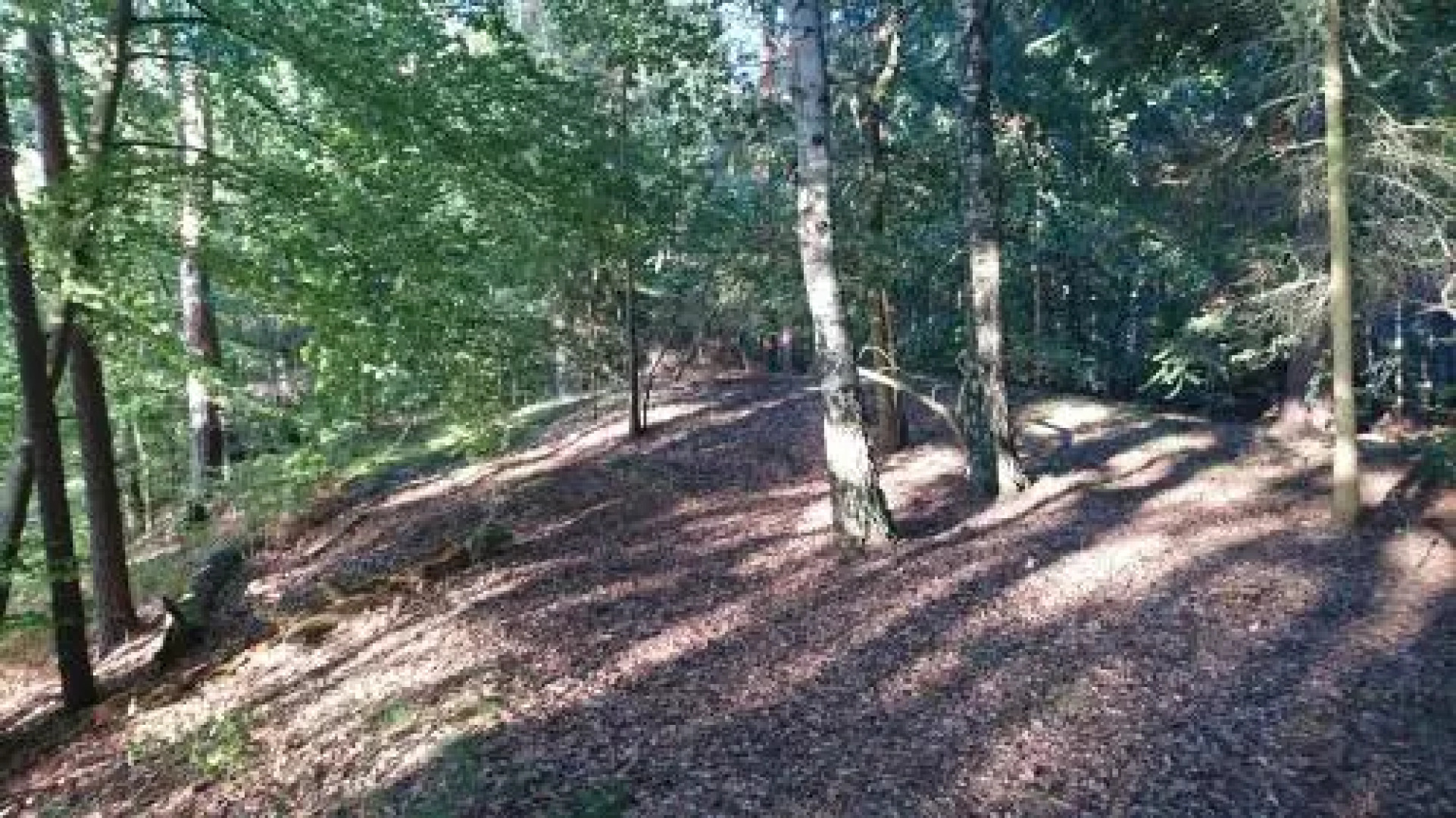 Ferienwohnung Hellwig