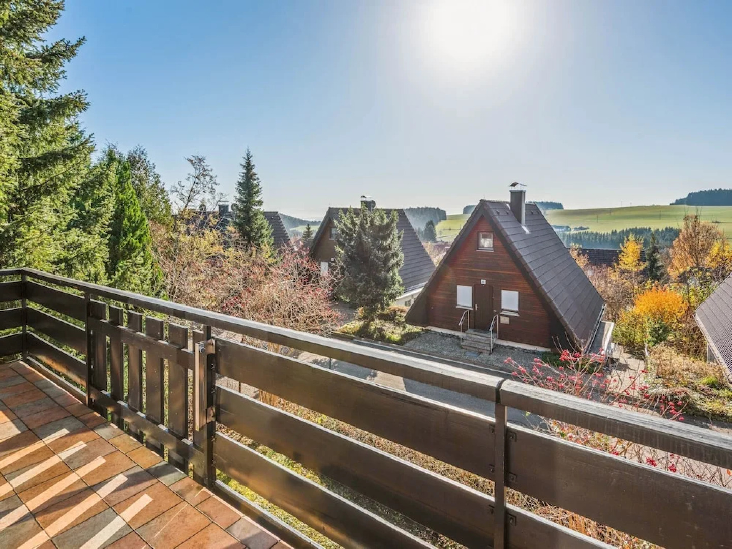 Detached House in a Holiday Park in the Hotzenwald With Terrace and Garden