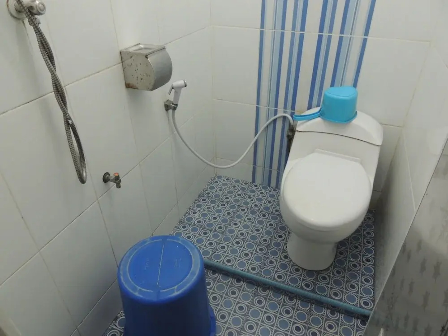 Penginapan Dieng 0km