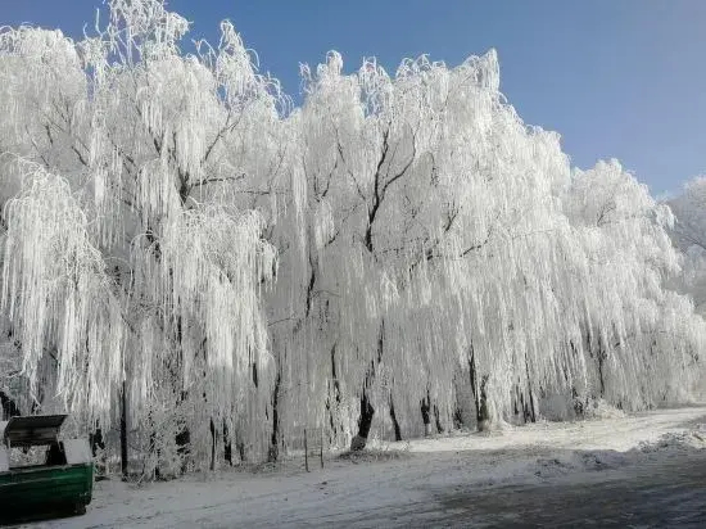 Wusong Island Songjuyuan Country House