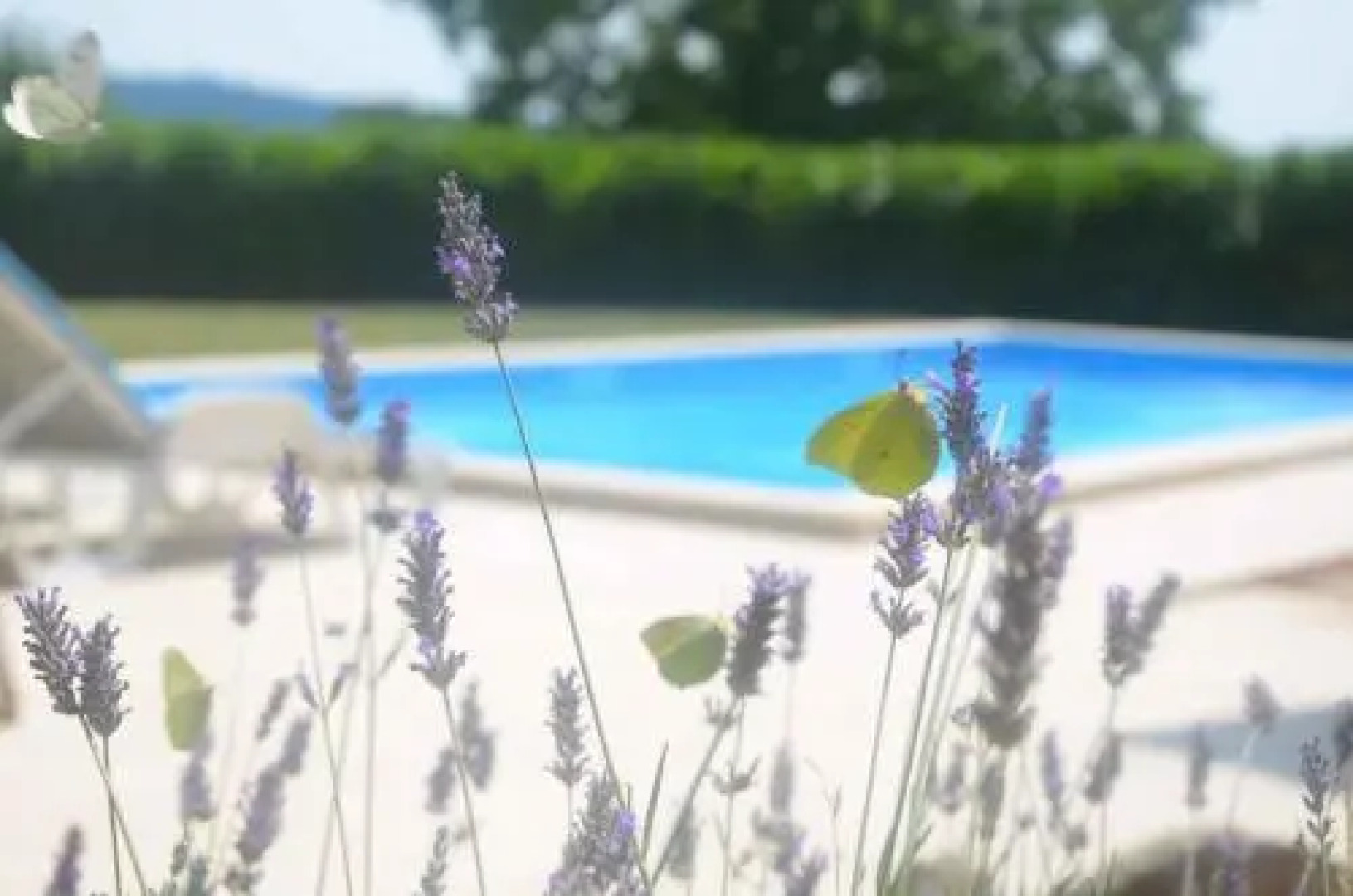 Holiday home in Tinjan/Istrien 10008