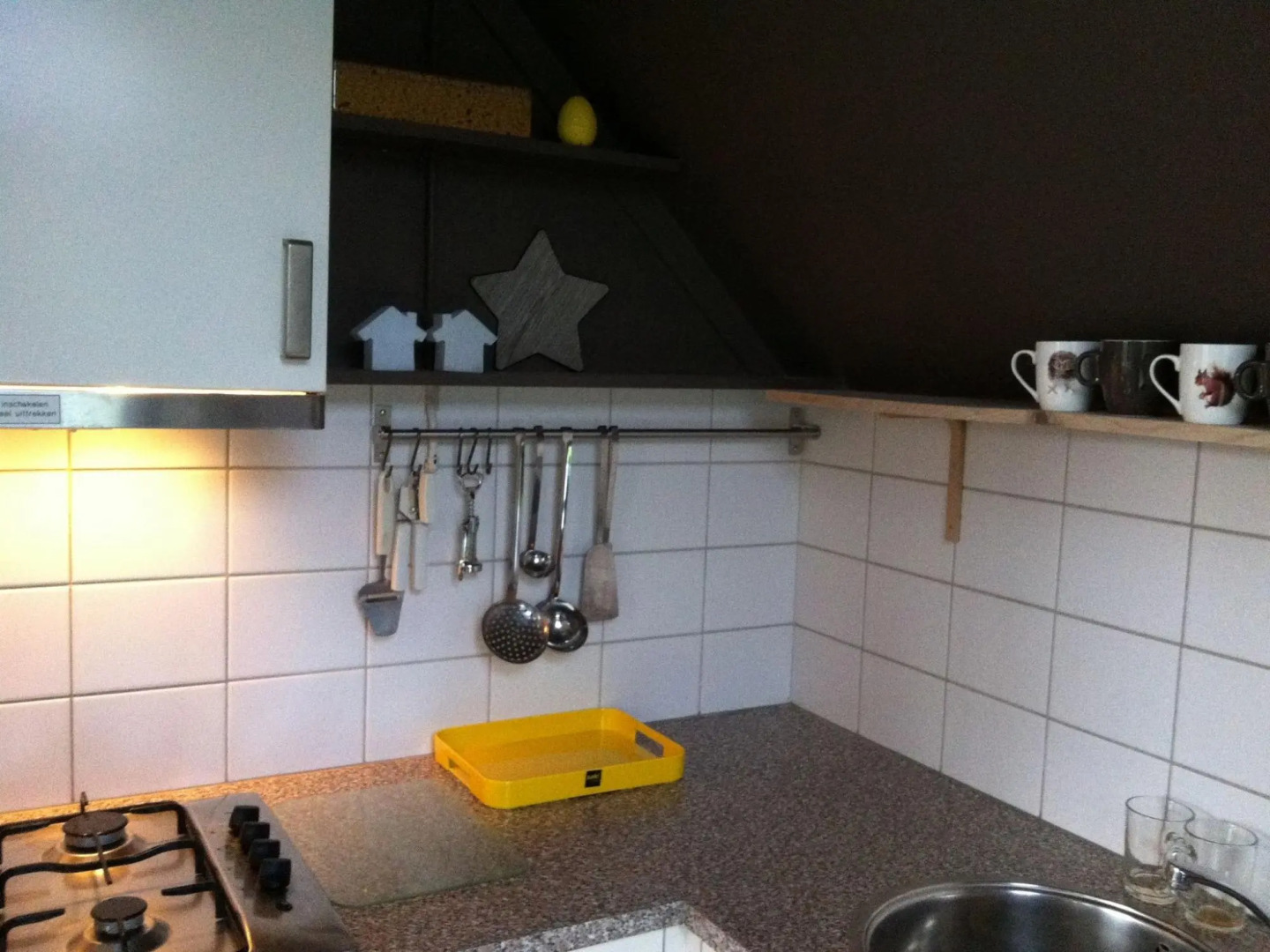 Attractive Holiday Home with Large Garden near Zwolle