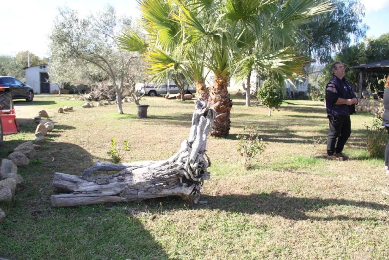 Agriturismo Su Pinnatu