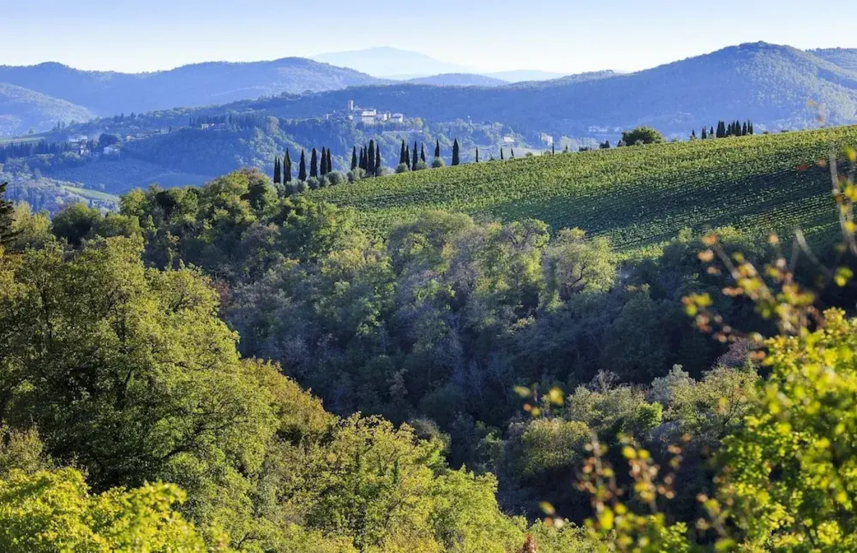Colto Dei Pallanti in Radda in Chianti