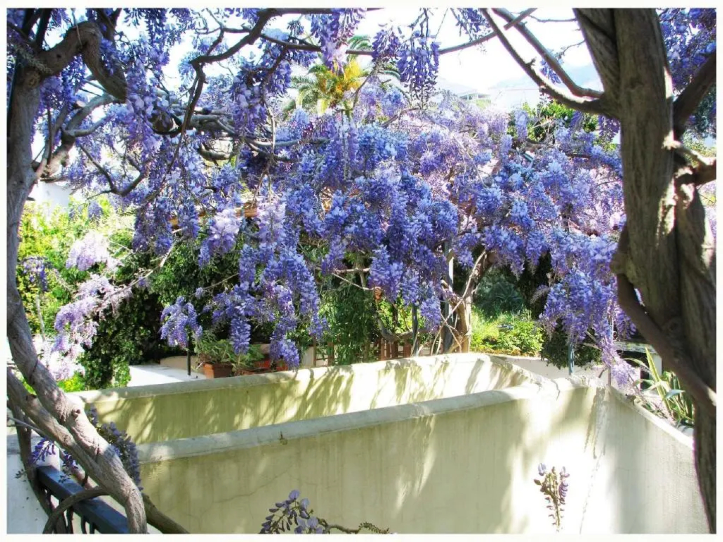 B&B La Salamandra Kitchengarden
