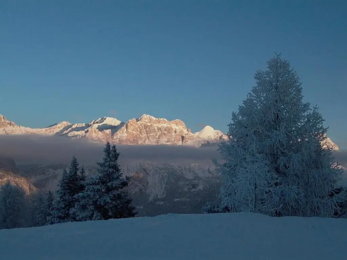 Alpine Hotel Ciasa Lara