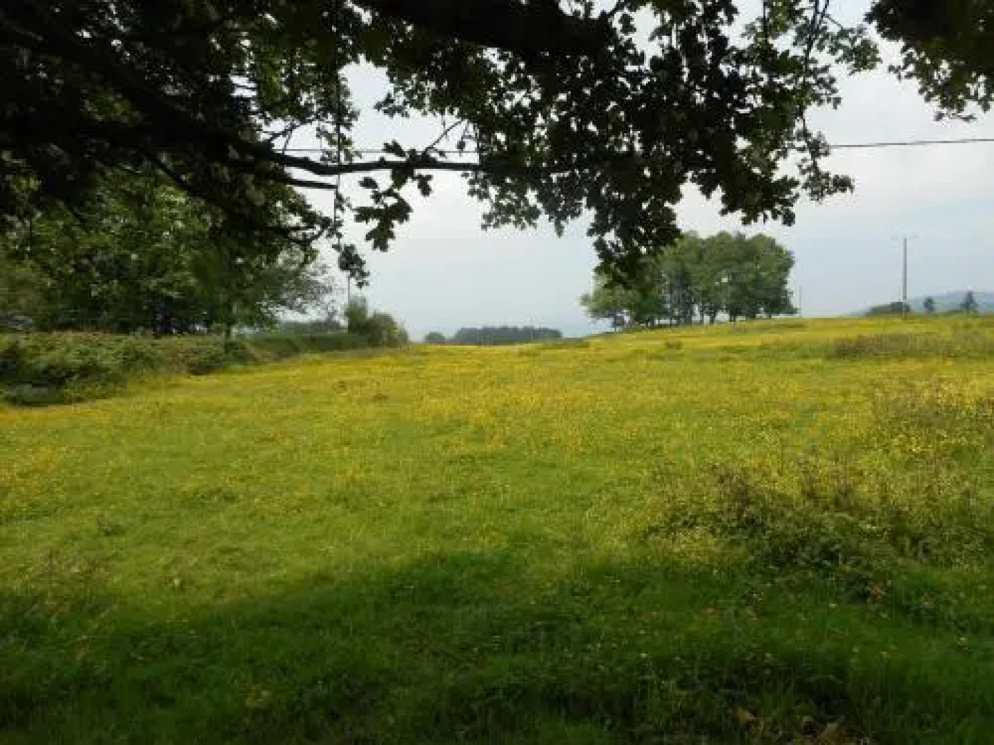 Llansabbath Country Farmhouse B&B