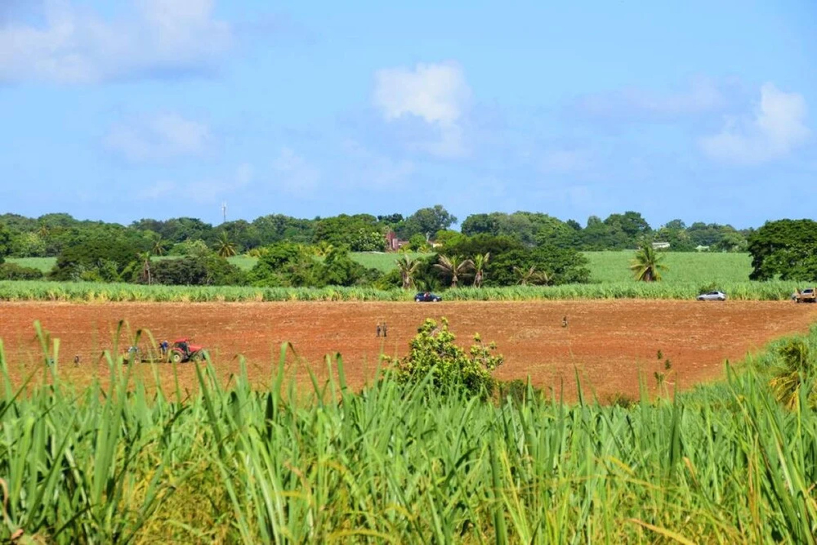 House With one Bedroom in Sainte-rose, With Furnished Garden and Wifi - 10 km From the Beach