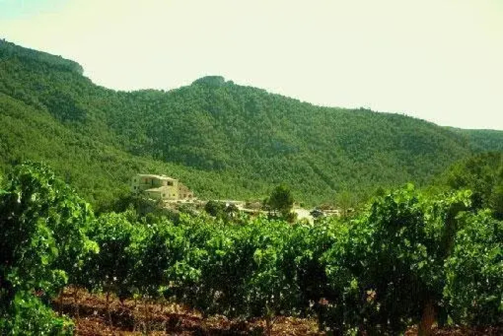 Domus Selecta Heredad Mas Collet