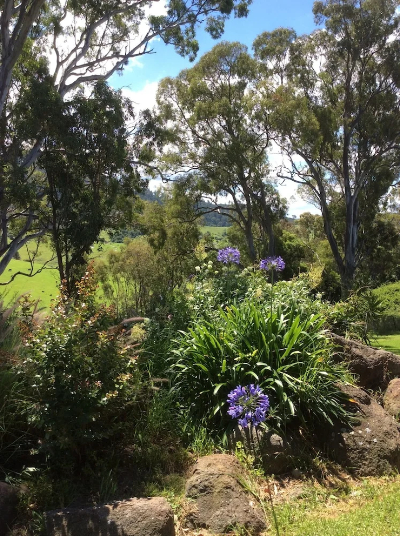 The Bryn At Tilba Family Cottage