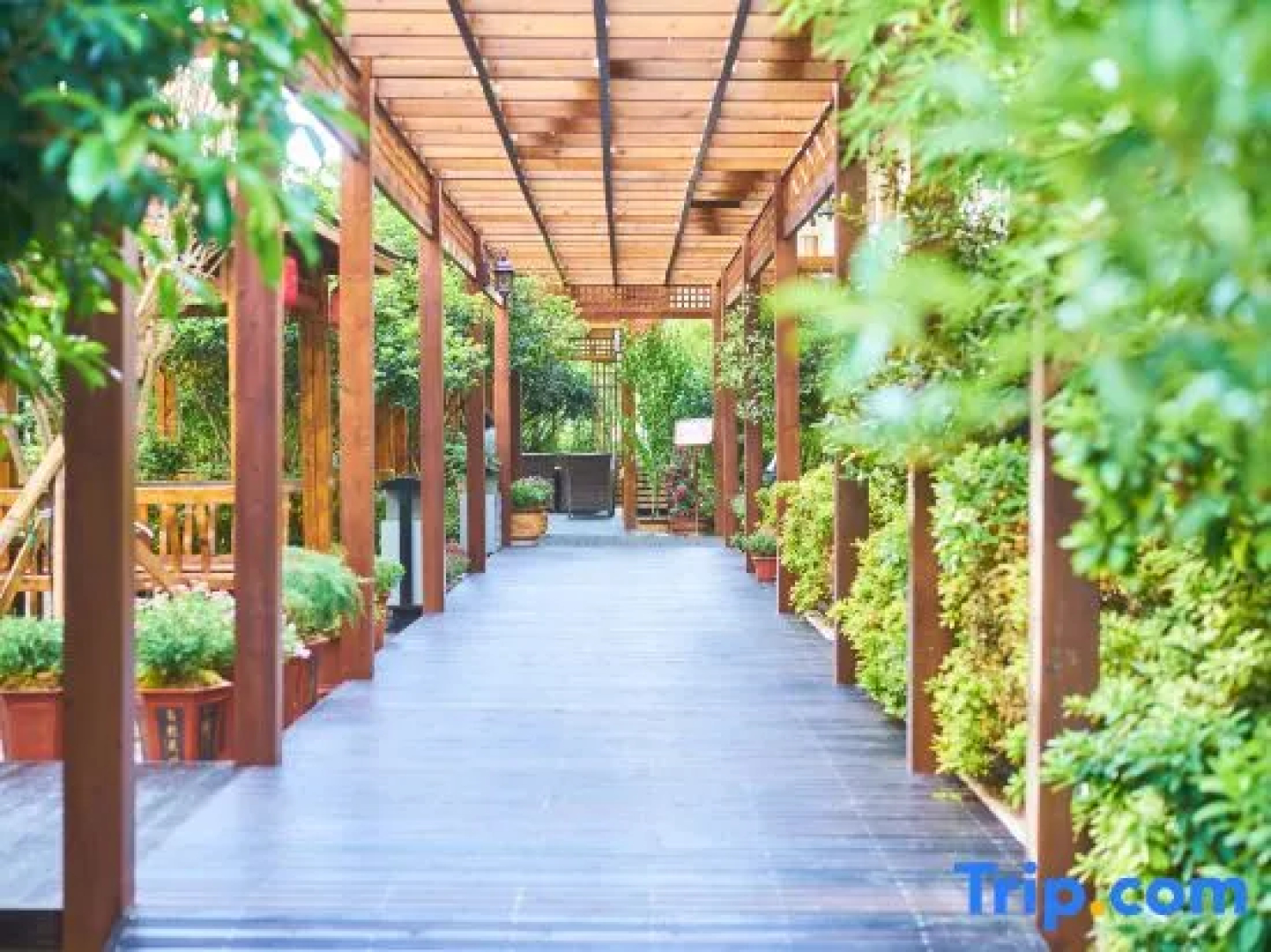 Lijiang Best Li Hotel