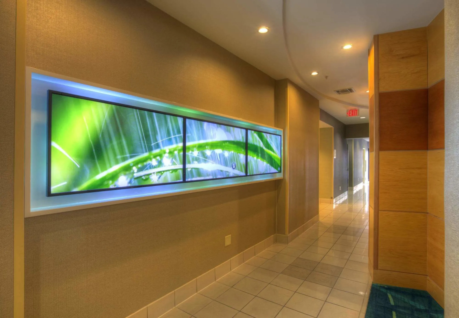 Springhill Suites by Marriott Tampa Brandon