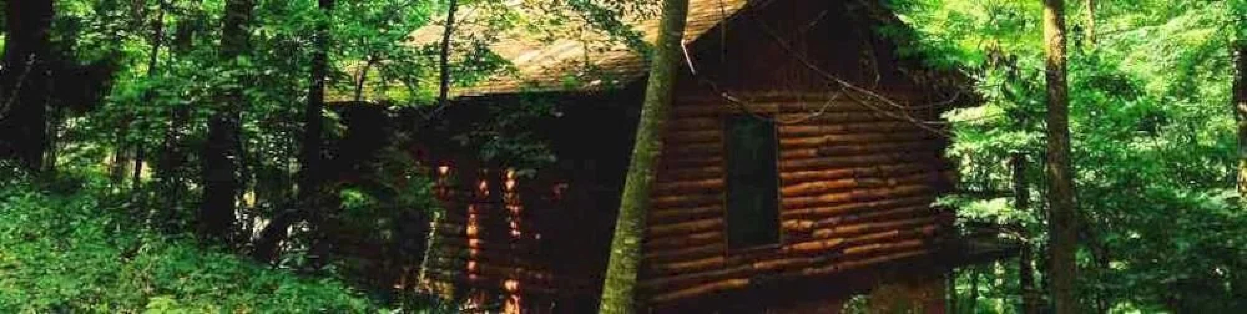 A Lazee Daze in the Ozarks