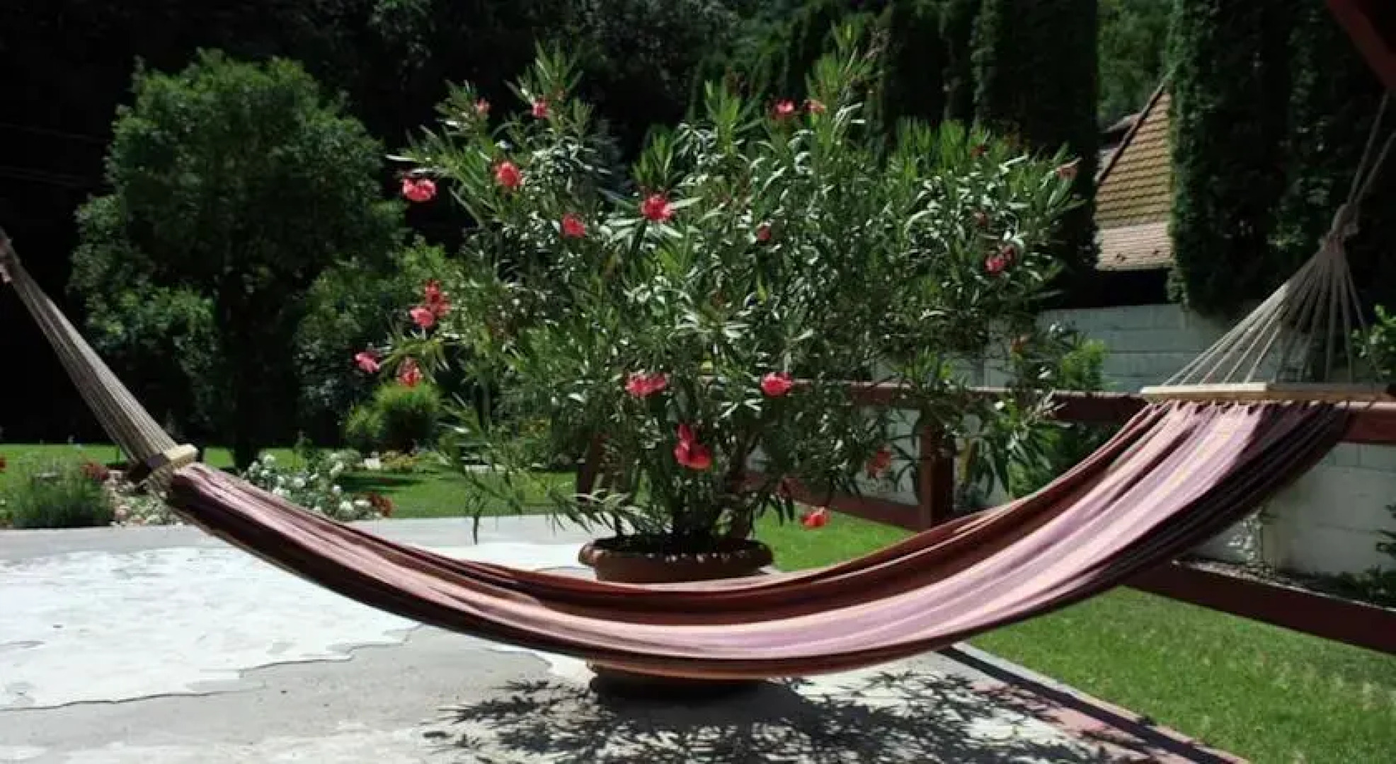 Börzsönyliget Vendégház