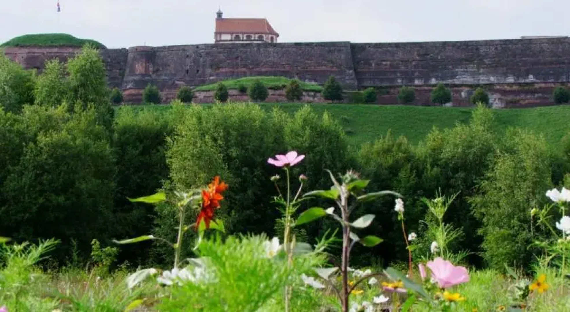 Gite du Moulin de la Schwingmulhe