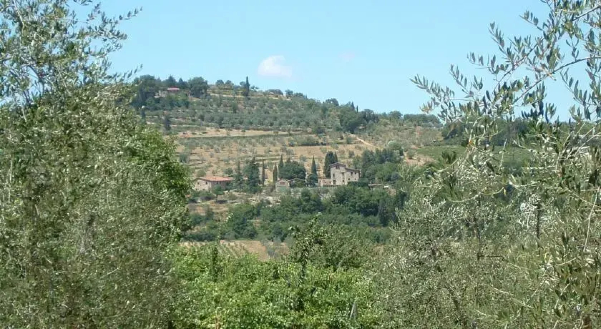 Azienda Agricola Masseto