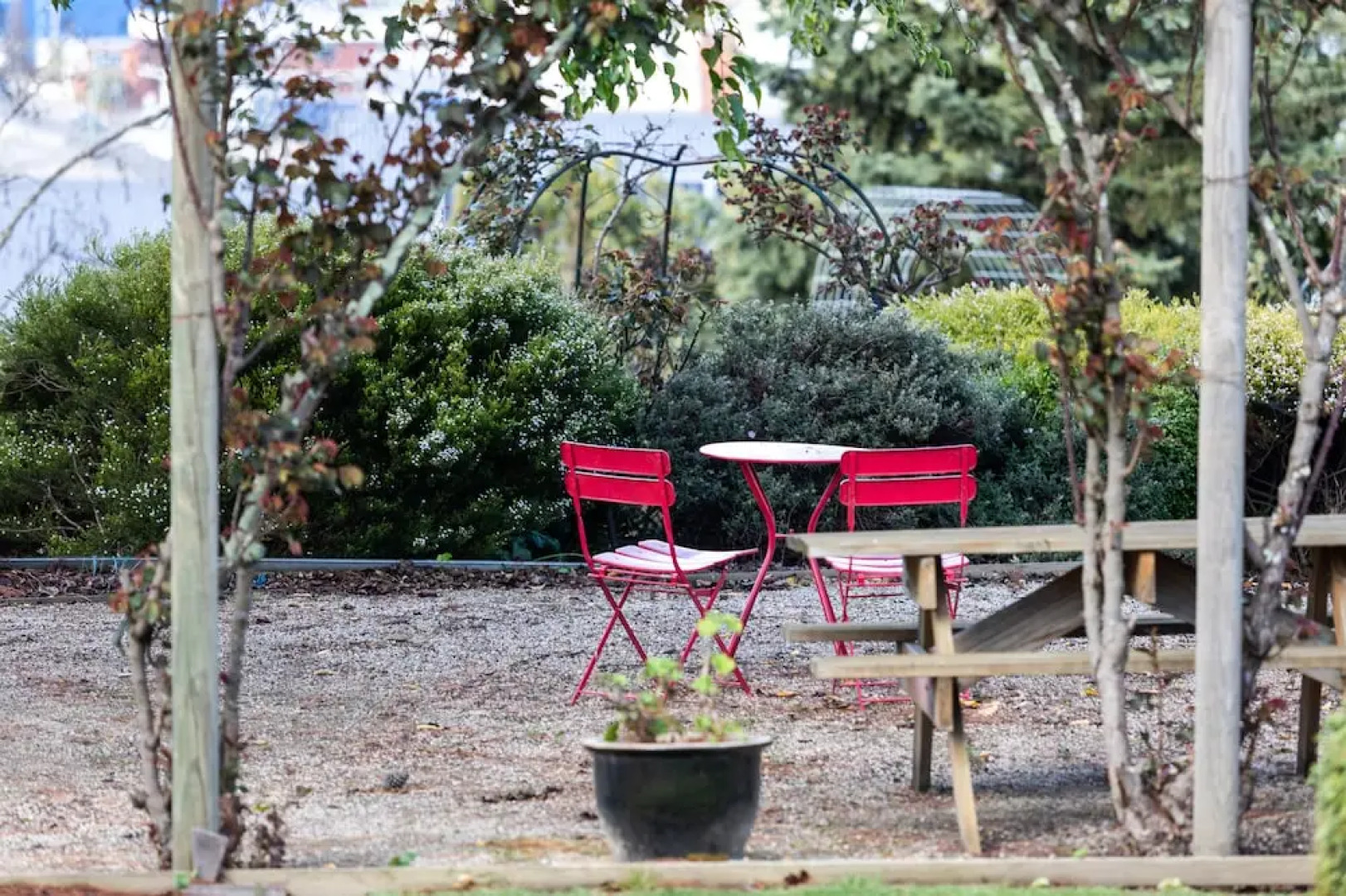 Отель The Dragonfly Inn