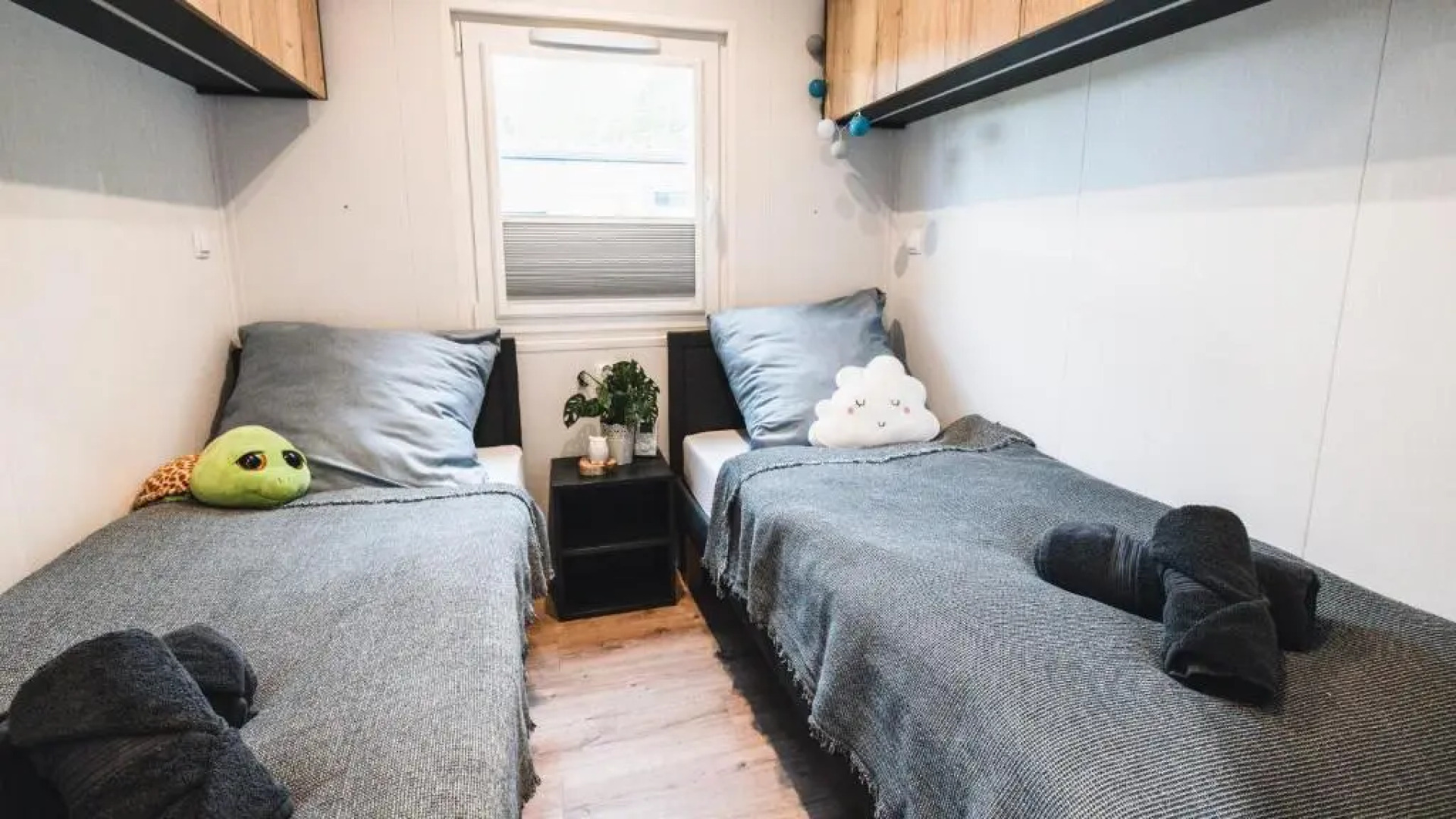 Auszeit am Alfsee, im Lichterwald